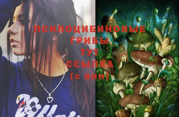 шишки Баксан