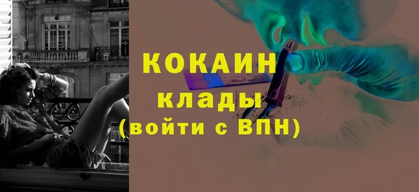 шишки Баксан