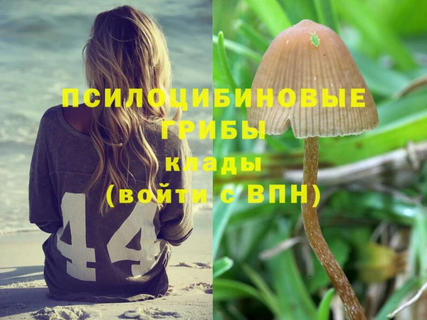 хмурый Балахна