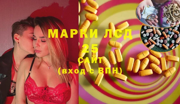 шишки Баксан