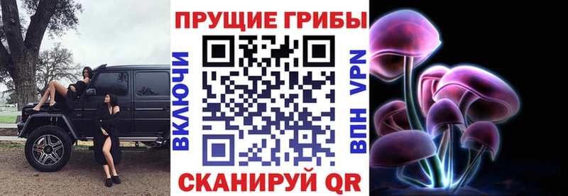 Галлюциногенные грибы мухоморы  Купить закладки  Дальнегорск 